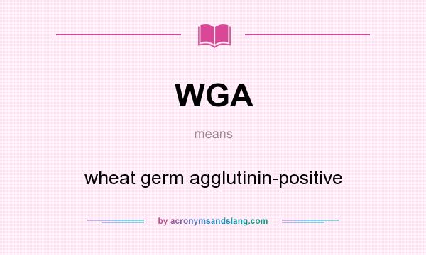 What does WGA mean? It stands for wheat germ agglutinin-positive
