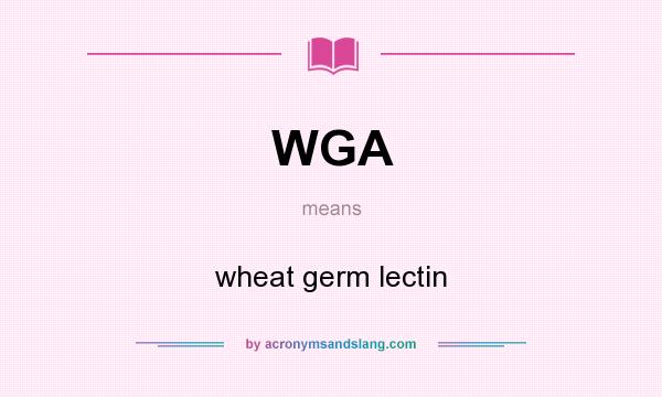What does WGA mean? It stands for wheat germ lectin