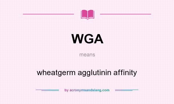 What does WGA mean? It stands for wheatgerm agglutinin affinity