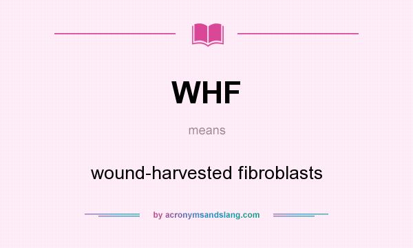 What does WHF mean? It stands for wound-harvested fibroblasts