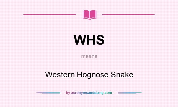 What does WHS mean? It stands for Western Hognose Snake