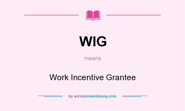 What does WIG mean? It stands for Work Incentive Grantee