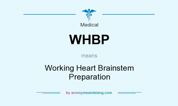 What does WHBP mean? It stands for Working Heart Brainstem Preparation