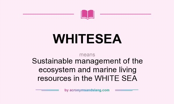 What does WHITESEA mean? It stands for Sustainable management of the ecosystem and marine living resources in the WHITE SEA