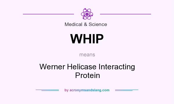 What does WHIP mean? It stands for Werner Helicase Interacting Protein