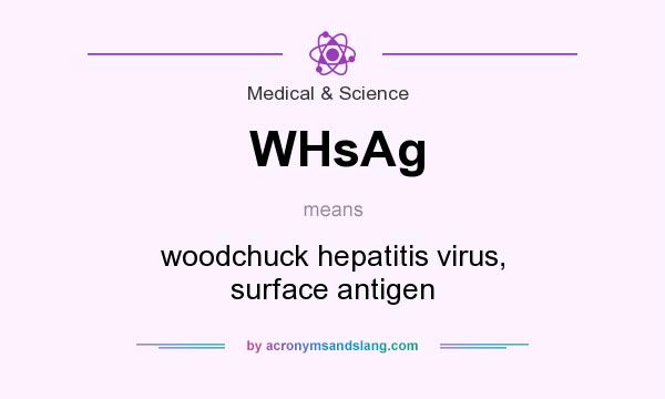 What does WHsAg mean? It stands for woodchuck hepatitis virus, surface antigen