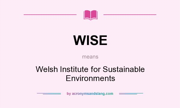 What does WISE mean? It stands for Welsh Institute for Sustainable Environments