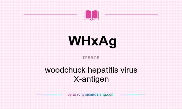 What does WHxAg mean? It stands for woodchuck hepatitis virus X-antigen