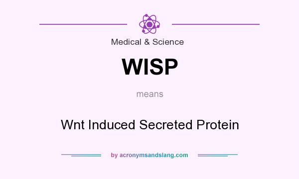 What does WISP mean? It stands for Wnt Induced Secreted Protein