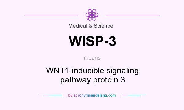 What does WISP-3 mean? It stands for WNT1-inducible signaling pathway protein 3