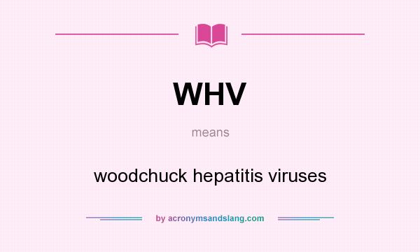 What does WHV mean? It stands for woodchuck hepatitis viruses