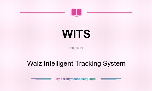 What does WITS mean? It stands for Walz Intelligent Tracking System