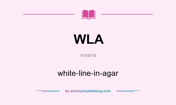 What does WLA mean? It stands for white-line-in-agar