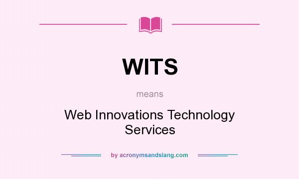 What does WITS mean? It stands for Web Innovations Technology Services
