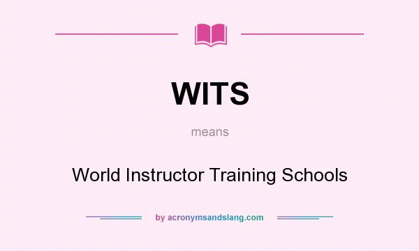 What does WITS mean? It stands for World Instructor Training Schools