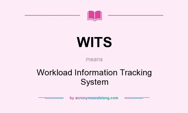 What does WITS mean? It stands for Workload Information Tracking System