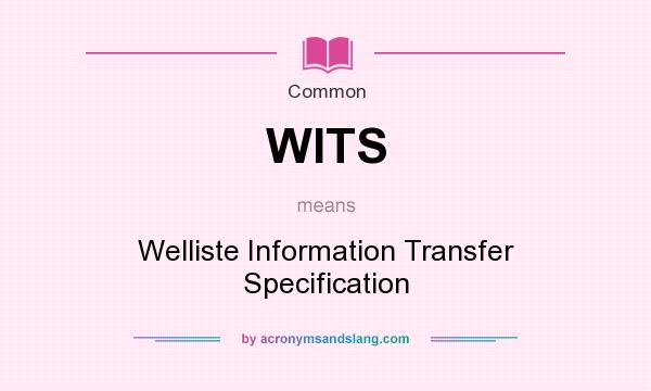 What does WITS mean? It stands for Welliste Information Transfer Specification