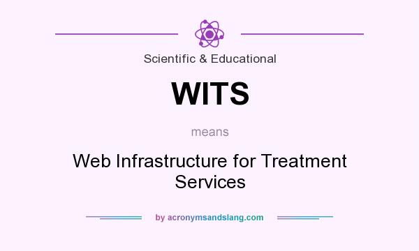 What does WITS mean? It stands for Web Infrastructure for Treatment Services