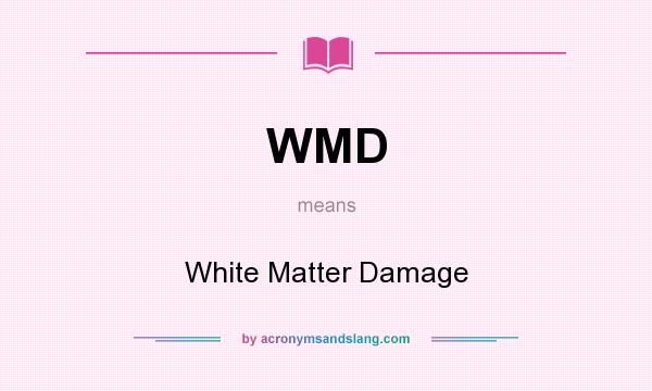 What does WMD mean? It stands for White Matter Damage