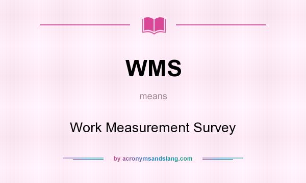 What does WMS mean? It stands for Work Measurement Survey