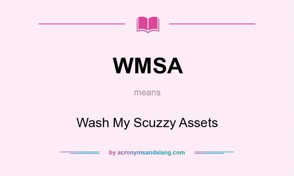 What does WMSA mean? It stands for Wash My Scuzzy Assets