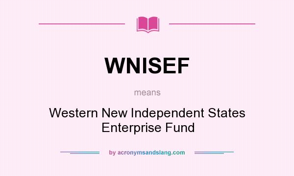 What does WNISEF mean? It stands for Western New Independent States Enterprise Fund