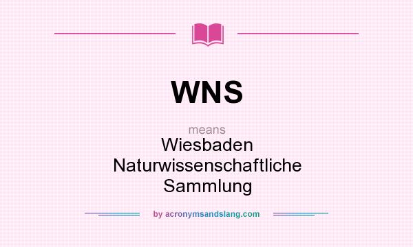 What does WNS mean? It stands for Wiesbaden Naturwissenschaftliche Sammlung