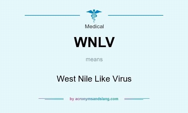 What does WNLV mean? It stands for West Nile Like Virus