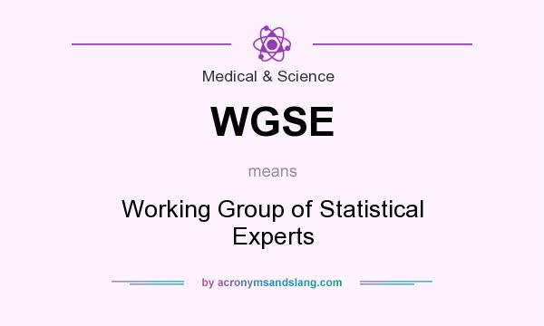 What does WGSE mean? It stands for Working Group of Statistical Experts