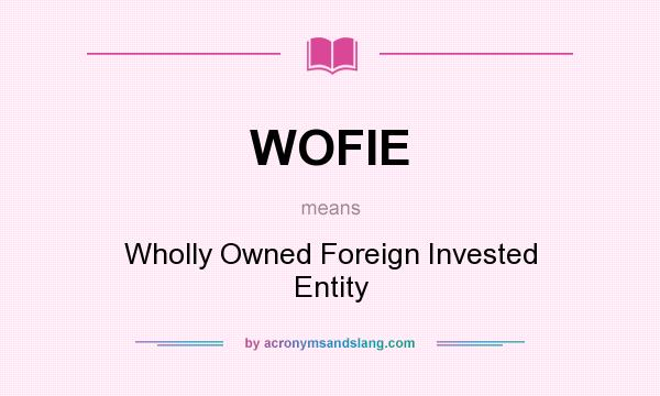 What does WOFIE mean? It stands for Wholly Owned Foreign Invested Entity