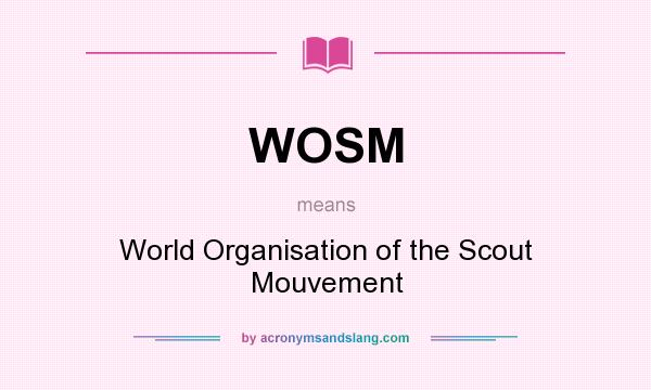 What does WOSM mean? It stands for World Organisation of the Scout Mouvement