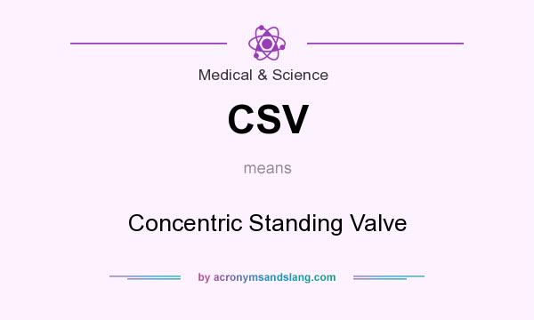What does CSV mean? It stands for Concentric Standing Valve