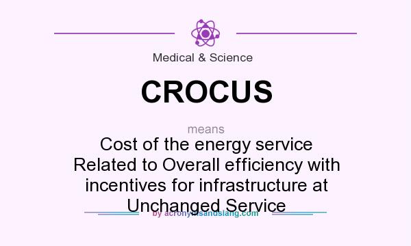 What does CROCUS mean? It stands for Cost of the energy service Related to Overall efficiency with incentives for infrastructure at Unchanged Service