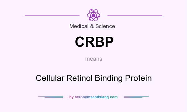 What does CRBP mean? It stands for Cellular Retinol Binding Protein