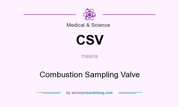 What does CSV mean? It stands for Combustion Sampling Valve