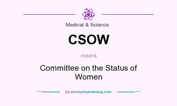 What does CSOW mean? It stands for Committee on the Status of Women