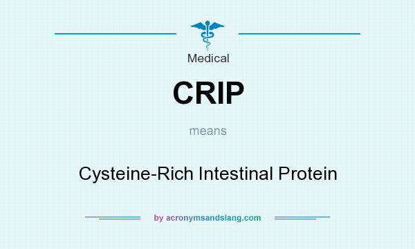 What does CRIP mean? It stands for Cysteine-Rich Intestinal Protein