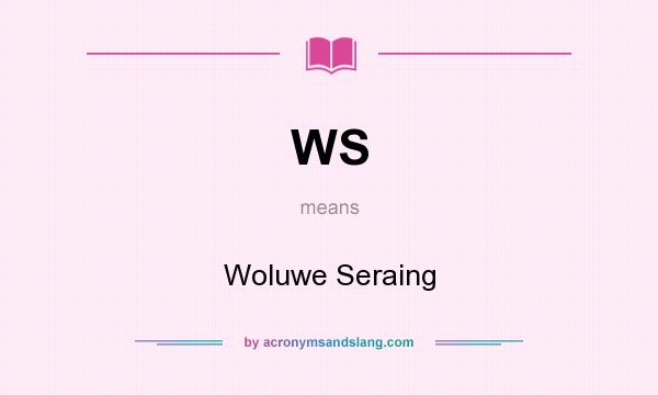 What does WS mean? It stands for Woluwe Seraing