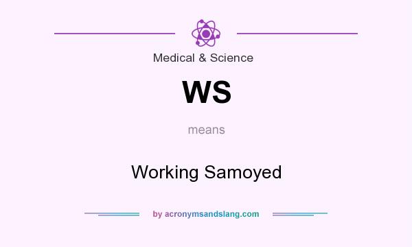 What does WS mean? It stands for Working Samoyed