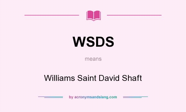 What does WSDS mean? It stands for Williams Saint David Shaft