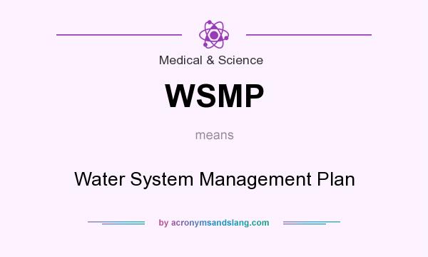 What does WSMP mean? It stands for Water System Management Plan