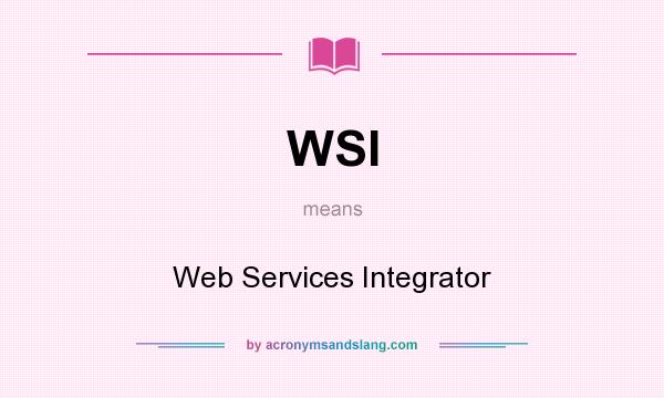 What does WSI mean? It stands for Web Services Integrator