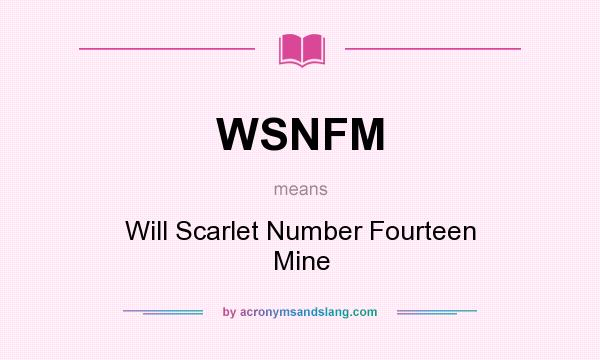 What does WSNFM mean? It stands for Will Scarlet Number Fourteen Mine