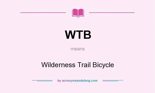 What does WTB mean? It stands for Wilderness Trail Bicycle