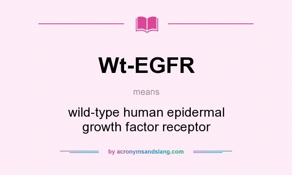 Egfr meaning