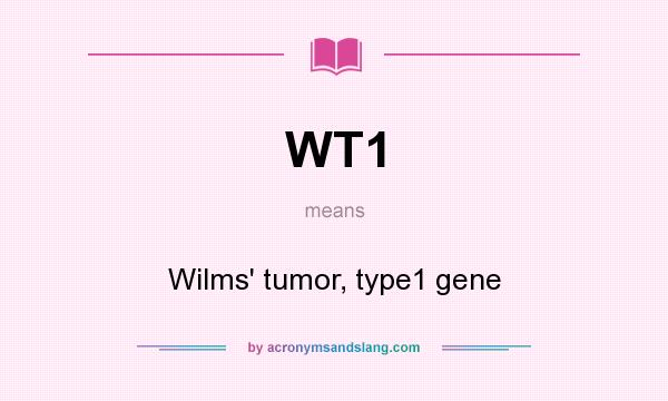 What does WT1 mean? It stands for Wilms` tumor, type1 gene