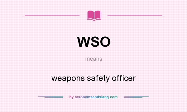 What does WSO mean? It stands for weapons safety officer