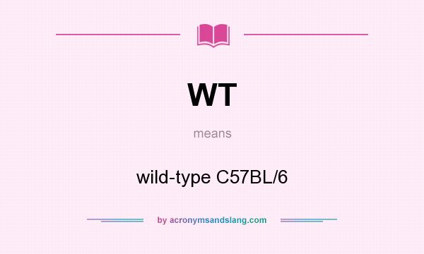 What does WT mean? It stands for wild-type C57BL/6