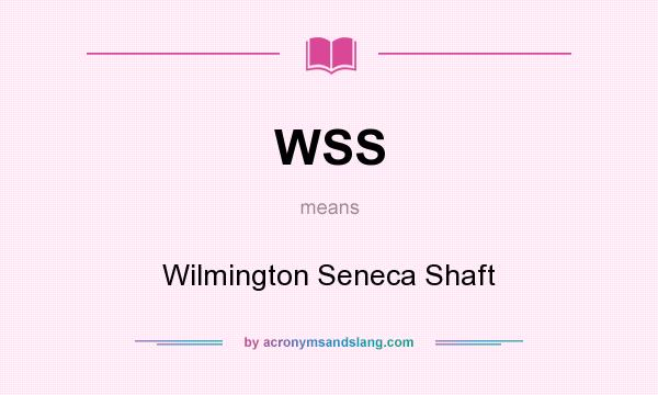 What does WSS mean? It stands for Wilmington Seneca Shaft