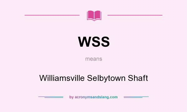 What does WSS mean? It stands for Williamsville Selbytown Shaft